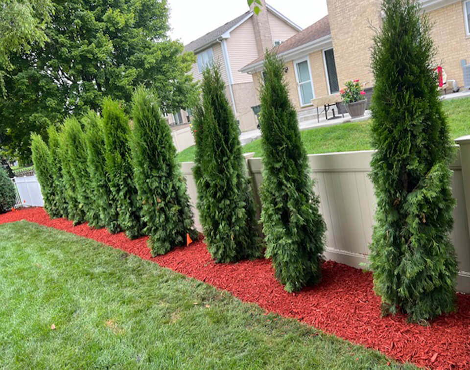 Landscaping Company