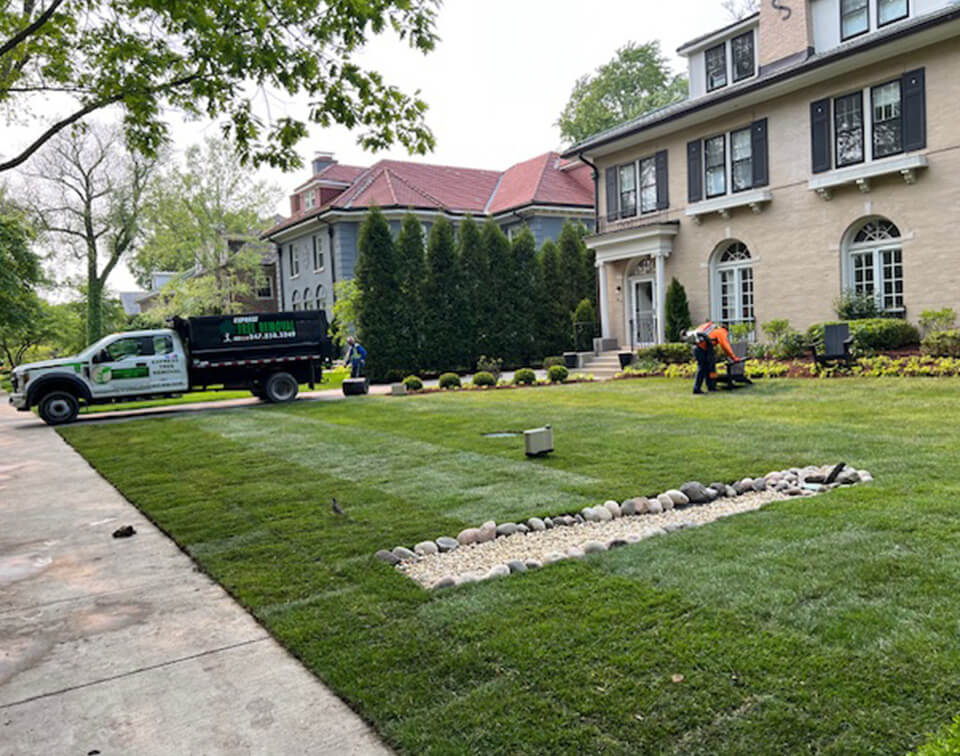Landscaping Services